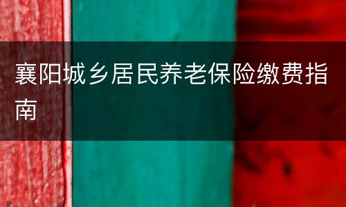 襄阳城乡居民养老保险缴费指南