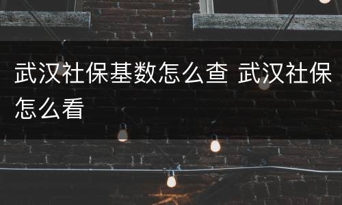 武汉社保基数怎么查 武汉社保怎么看