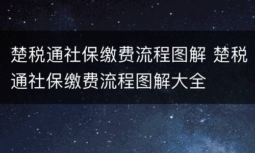 楚税通社保缴费流程图解 楚税通社保缴费流程图解大全