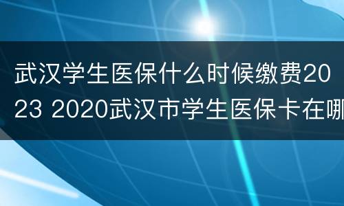 武汉学生医保什么时候缴费2023 2020武汉市学生医保卡在哪里缴费