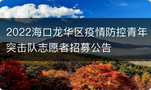 2022海口龙华区疫情防控青年突击队志愿者招募公告