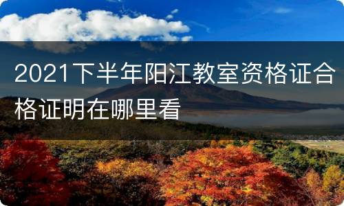 2021下半年阳江教室资格证合格证明在哪里看