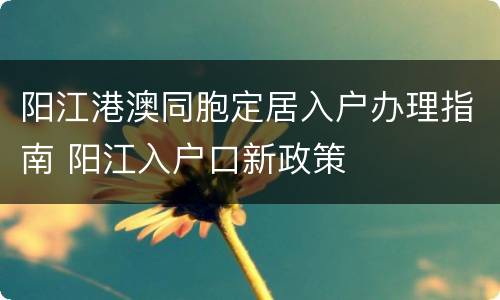 阳江港澳同胞定居入户办理指南 阳江入户口新政策