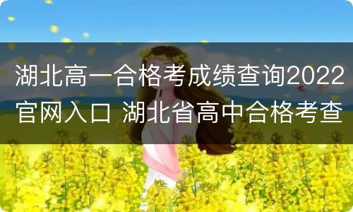 湖北高一合格考成绩查询2022官网入口 湖北省高中合格考查询网站2021