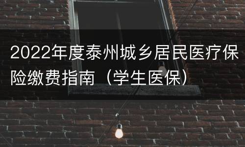 2022年度泰州城乡居民医疗保险缴费指南（学生医保）