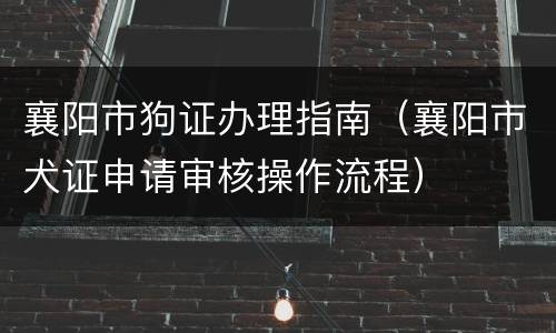 襄阳市狗证办理指南（襄阳市犬证申请审核操作流程）