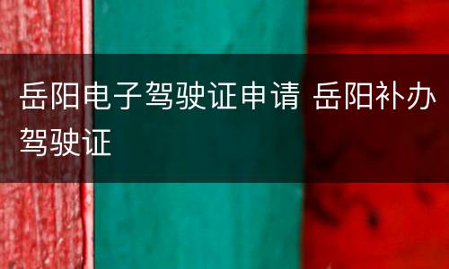 岳阳电子驾驶证申请 岳阳补办驾驶证