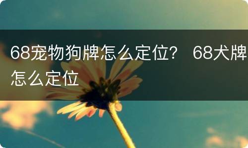68宠物狗牌怎么定位？ 68犬牌怎么定位