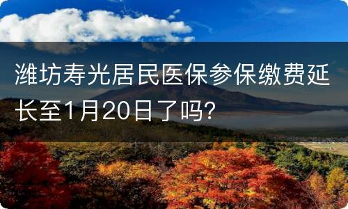 潍坊寿光居民医保参保缴费延长至1月20日了吗？
