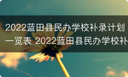 2022蓝田县民办学校补录计划一览表 2022蓝田县民办学校补录计划一览表图片