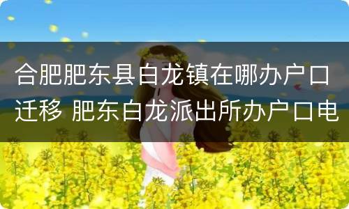 合肥肥东县白龙镇在哪办户口迁移 肥东白龙派出所办户口电话