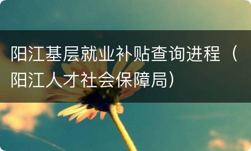 阳江基层就业补贴查询进程（阳江人才社会保障局）
