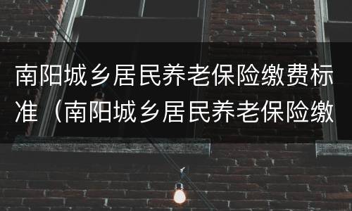 南阳城乡居民养老保险缴费标准（南阳城乡居民养老保险缴费标准表）
