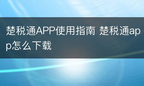 楚税通APP使用指南 楚税通app怎么下载