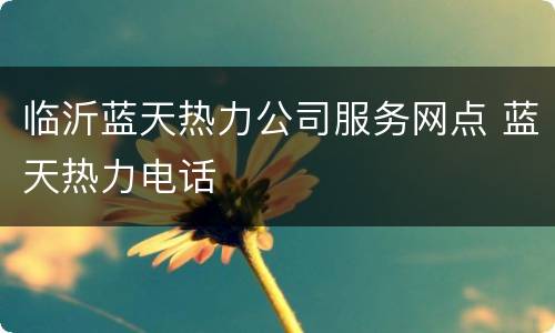 临沂蓝天热力公司服务网点 蓝天热力电话
