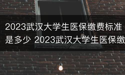 2023武汉大学生医保缴费标准是多少 2023武汉大学生医保缴费标准是多少呢
