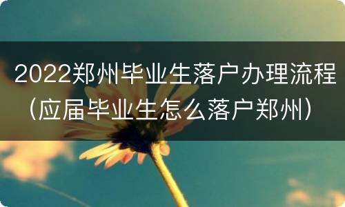 2022郑州毕业生落户办理流程（应届毕业生怎么落户郑州）