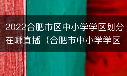 2022合肥市区中小学学区划分在哪直播（合肥市中小学学区划分2021）