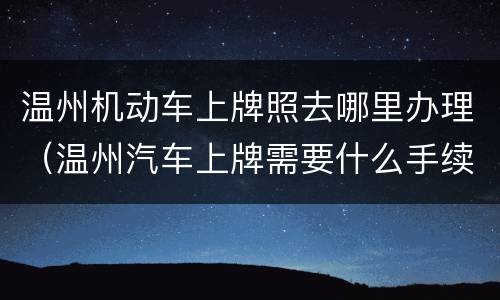温州机动车上牌照去哪里办理（温州汽车上牌需要什么手续）