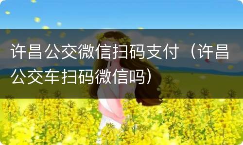 许昌公交微信扫码支付（许昌公交车扫码微信吗）
