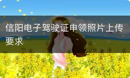 信阳电子驾驶证申领照片上传要求