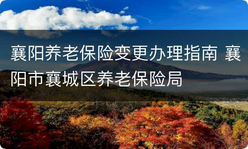 襄阳养老保险变更办理指南 襄阳市襄城区养老保险局