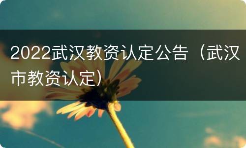 2022武汉教资认定公告（武汉市教资认定）