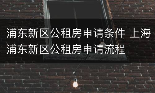 浦东新区公租房申请条件 上海浦东新区公租房申请流程