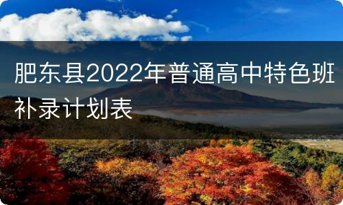 肥东县2022年普通高中特色班补录计划表
