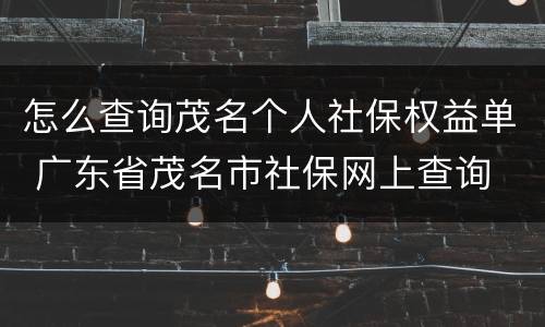 怎么查询茂名个人社保权益单 广东省茂名市社保网上查询