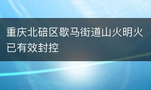 重庆北碚区歇马街道山火明火已有效封控