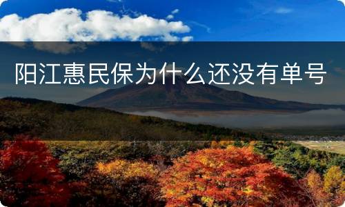 阳江惠民保为什么还没有单号