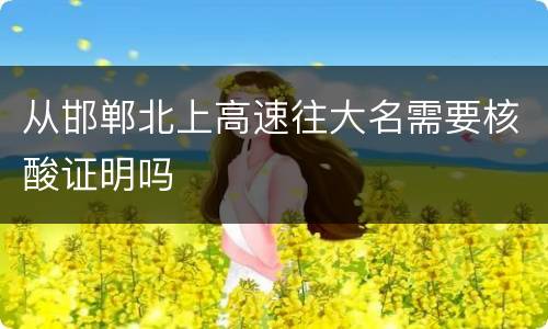 从邯郸北上高速往大名需要核酸证明吗