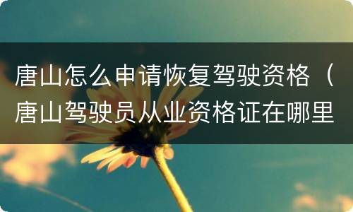 唐山怎么申请恢复驾驶资格（唐山驾驶员从业资格证在哪里换证）