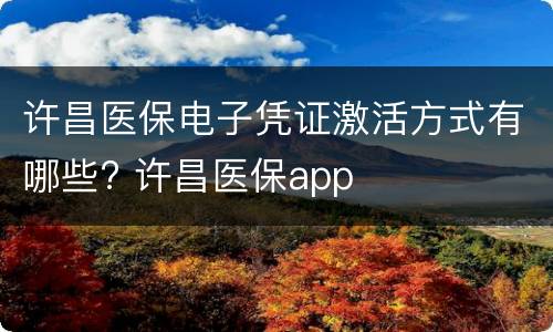许昌医保电子凭证激活方式有哪些? 许昌医保app