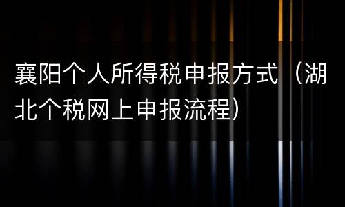 襄阳个人所得税申报方式（湖北个税网上申报流程）