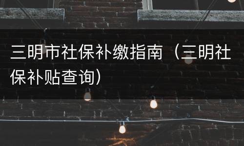 三明市社保补缴指南（三明社保补贴查询）