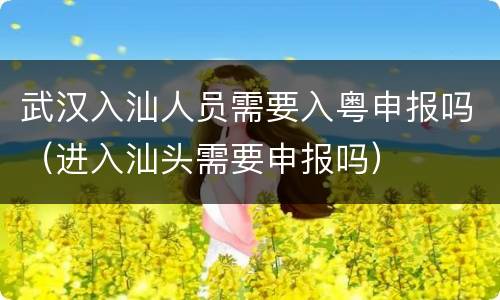 武汉入汕人员需要入粤申报吗（进入汕头需要申报吗）