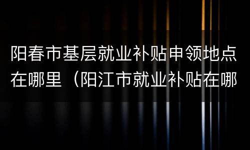 阳春市基层就业补贴申领地点在哪里（阳江市就业补贴在哪里申请）
