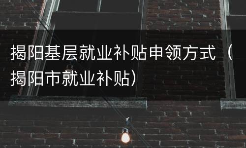 揭阳基层就业补贴申领方式（揭阳市就业补贴）
