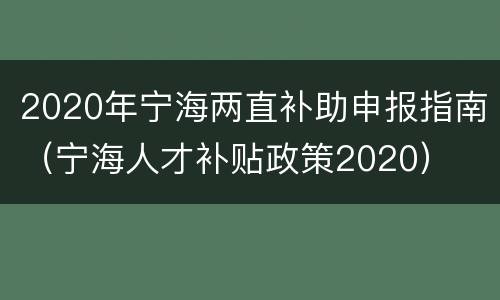 2020年宁海两直补助申报指南（宁海人才补贴政策2020）