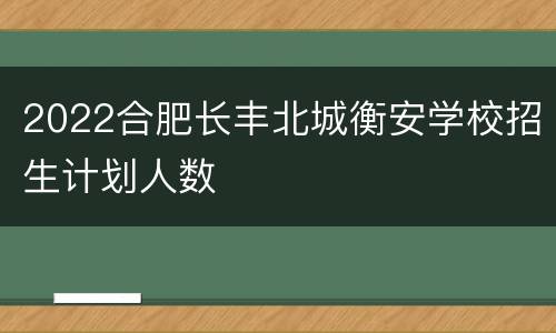 2022合肥长丰北城衡安学校招生计划人数