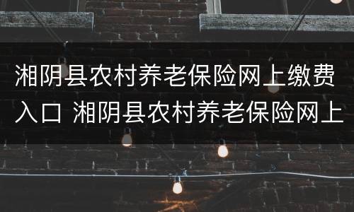 湘阴县农村养老保险网上缴费入口 湘阴县农村养老保险网上缴费入口在哪