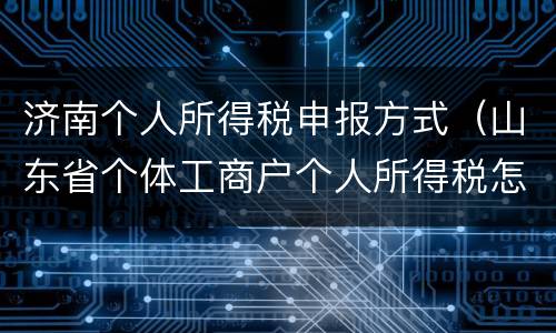 济南个人所得税申报方式（山东省个体工商户个人所得税怎么申报）