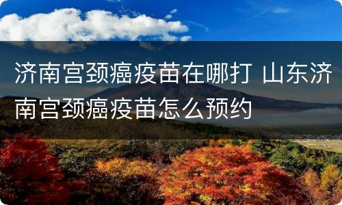 济南宫颈癌疫苗在哪打 山东济南宫颈癌疫苗怎么预约
