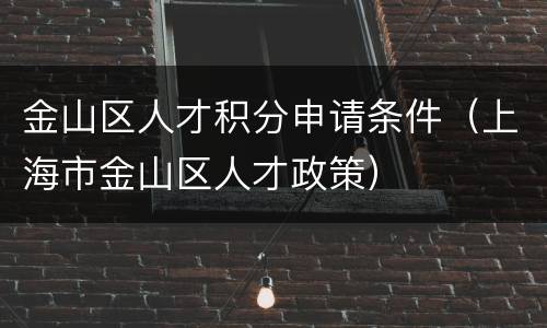 金山区人才积分申请条件（上海市金山区人才政策）