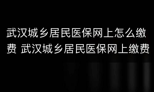 武汉城乡居民医保网上怎么缴费 武汉城乡居民医保网上缴费显示批口中