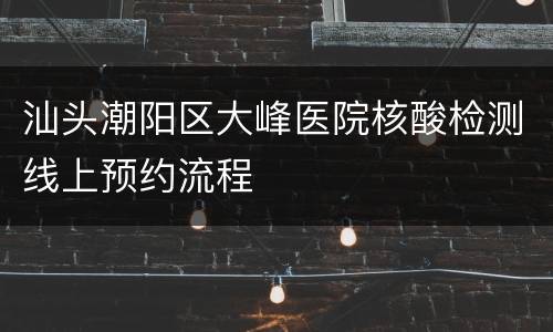 汕头潮阳区大峰医院核酸检测线上预约流程