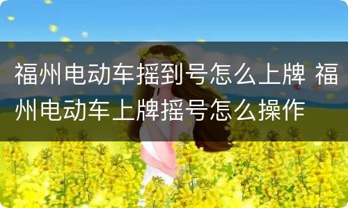 福州电动车摇到号怎么上牌 福州电动车上牌摇号怎么操作