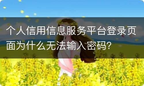 个人信用信息服务平台登录页面为什么无法输入密码？